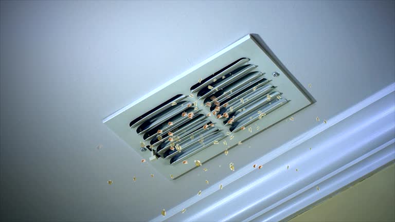 Best Professional Duct Cleaning Services  in Lake Shore, MD