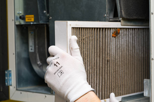Best Affordable Air Duct Cleaning  in Lake Shore, MD